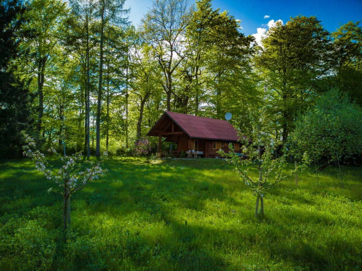 Vila Silent Orchard Naklo Exteriér fotografie